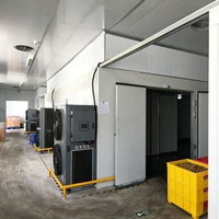 Industriële koffieboon- en rode peper-chili-droger, warmtepomp, elektrische verwarming, voor de verwerking van groenten, fruit en voedsel.