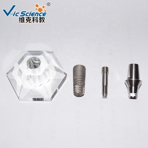 Modèle d'implant dentaire stéréoscopique Dents et modèle dentaire Modèle d'implant dentaire pour les applications en sciences médicales - Product Image 2