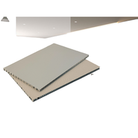 Panel de Nido de Abeja de Aluminio y Acero Ignífugo Ligero de 8 mm de Espesor, Superficie de Espejo Ecológica, Diseño Moderno, Uso Industrial, 5 Años de Garantía