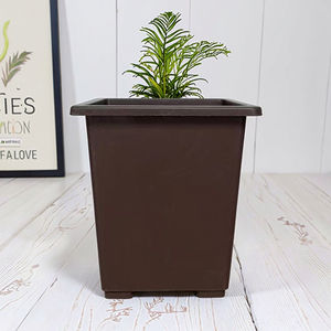 Maceta de plántulas 15 cm clásico Rectangular plástico ecológico bonsái agujero de drenaje <span class=keywords><strong>para</strong></span> <span class=keywords><strong>cactus</strong></span> suculentos árboles hogar jardín - Product Image 4