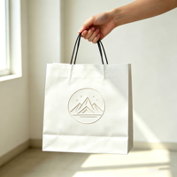 Sacs en papier kraft de plusieurs tailles en gros, logo personnalisé, sacs en papier brun écologiques, sacs en papier biodégradables pour cadeaux