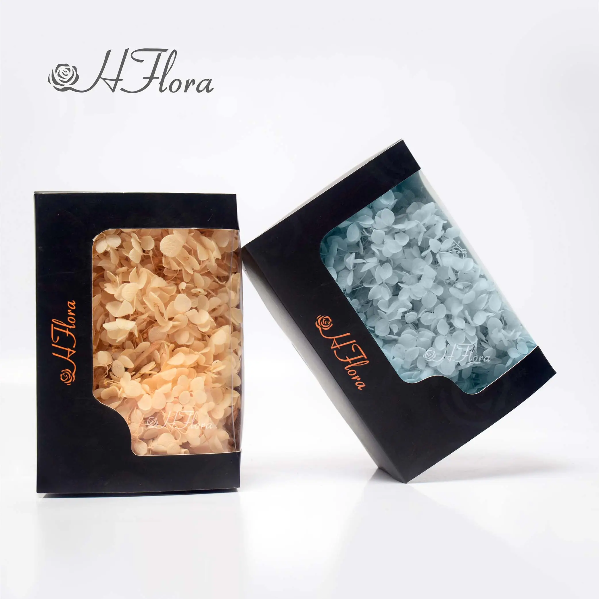 Hfloral 20g in box Preserved Hydrangea Dried Flowers Real Touch Light Blue White Hydrangeas more than 20 colors