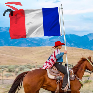 Vente en gros de drapeaux nationaux extérieurs de la <span class=keywords><strong>France</strong></span> de 3x5 pieds en polyester pour grands événements sportifs avec œillets en laiton - Product Image 1