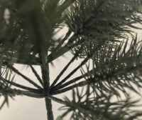 Décoration intérieure moderne et élégante Arbre artificiel vert luxuriant avec des feuilles en plastique Plante d'intérieur unique