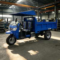 Camion cargo à trois roues diesel, capacité de charge de 3000 kg, 25 CV, démarrage électrique, benne hydraulique, tricycle diesel pour l'Afrique