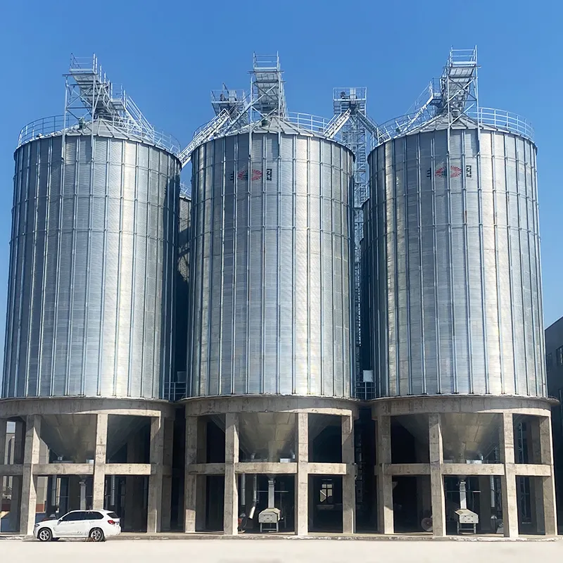 50 Tấn Hạt Lưu Trữ Silo 50 T-10000T Gạo Lưu Trữ Container Thép Không Gỉ Silos Hạt Lưu Trữ Silo Một Hạt