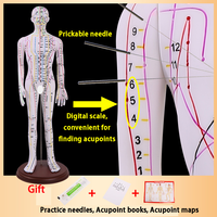 Acupuncture 62CM et point de moxibustion Modèle humain Corps entier Médecine traditionnelle chinoise Diagramme des douze méridiens