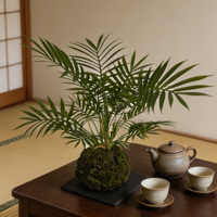 Nouvelle Arrivée Plante Artificielle Areca Palm Kokedama 37cm, Boule de Mousse Artificielle Bonsaï, Décoration Écologique pour Intérieur, Mariage, Maison, Bureau, Table
