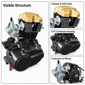 <span class=keywords><strong>CB</strong></span> 200cc Einzylinder 4-Takt CVT Luftgekühlter Motorradmotor, Ersatzmotor - Product Image 3