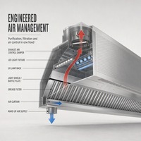 Hotte de cuisine professionnelle sur mesure en acier inoxydable avec système de ventilation et solution de service tout-en-un