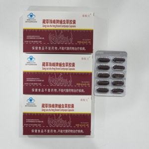 Cápsulas de Cordyceps de la Marca Zangcao Zhufeng |   Suplemento Natural para la Salud |   Apoyo Inmunológico |   Suplemento Dietético - Product Image 4