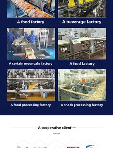 Automatic Industrial Metal Detector <b>Machine</b> for Food 180kg Capacity 24 Months Warranty IP67 CE Certified - Product Image 3