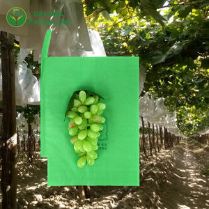 Custom Grape <strong>Protection</strong> <strong>Bags</strong> Manufacturers: <strong>Fruit</strong> Cover <strong>Bag</strong> Price Wholesale In Peru Chile - Product Image 2