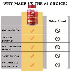 OEM Vente chaude - Personnalisable - Gummies à l'Urolithine A 1000 mg - Complément pour l'énergie mitochondriale et cellulaire, les muscles - Product Image 4