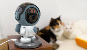 Hd אבטחה הביתה מצלמת חיות מחמד צג חיות מחמד צג חיות מחמד צג ה-wifi מצלמה פנימית wifi - Product Image 2