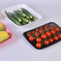 Fabrieks prijs plastic PET vlees schuimtrays zwarte fruit en groente verpakkingen voor supermarkten