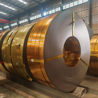 Bobine de tôle galvanisée prélaquée CS-A CS-B CS-C à haute adhérence pour la fabrication de panneaux publicitaires