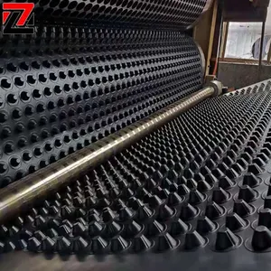 ZCWY 플라스틱 배수 보드 배수 시트 20mm HDPE 배수 셀