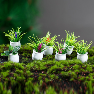 Plantes en pot miniatures simulées, 3-5 cm, en résine, décoration de bureau intérieure, micro-paysages, ensemble de 7 - Product Image 1