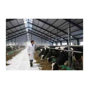 A basso costo prefabbricato caseificio della mucca caseificio struttura in acciaio mungitura capra fattoria edificio per la vendita - Product Image 6