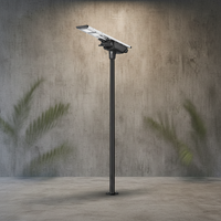 Lampe solaire LED pour rue de 100 watts, capteur PIR IK10, lampe solaire LED tout-en-un, lampe extérieure LED, étanche IP66 pour l'éclairage routier