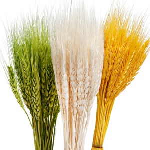 Composizioni Floreali Decorative Naturali Fatte a Mano con Fiori Secchi, Spighe di Grano e Accessori Floreali di <span class=keywords><strong>Orzo</strong></span> - Product Image 1