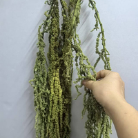 Amaranth Kering Terawetkan Panjang 80-120cm Langsung dari Pabrik Bunga Kering Dekorasi Pernikahan untuk Hari Valentine dan Pesta