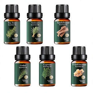 Individuelles Etikett Reines Natürliches Kaltgepresstes Teebaumöl Eukalyptus Lavendel Ätherisches Öl Aromatherapie Damen Körpermassage Spa-Set - Product Image 4