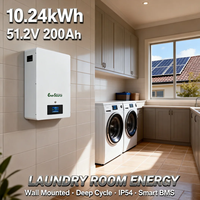 Baterai LiFePO4 48V 10kWh 51.2V 200Ah untuk Sistem Surya yang Dipasang di Dinding