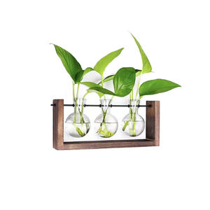 ชุด Terrariums ปลูก<span class=keywords><strong>ต้นไม้</strong></span>แบบตั้งโต๊ะ,ที่วาง<span class=keywords><strong>กระถาง</strong></span>อากาศไฮโดรโปนิกส์พร้อมแจกันแก้วขาตั้งไม้โลหะหมุนได้สำหรับตกแต่งบ้านสำนักงาน - Product Image 5