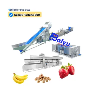 白玉商用BY-3000冷冻水果香蕉加工机机械食品冷冻玉米粒加工机