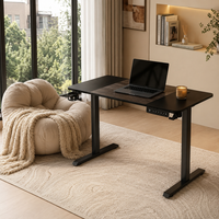 AOR Electric Lift Desk with Wood Surface Dark Gray Split Board Cup Holder Headphone Hook Extendable Customizable Color