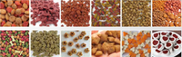 Ligne d'extrusion automatique de croquettes sèches pour animaux de compagnie (chiens, chats, oiseaux) à double vis, haute capacité, en acier inoxydable, avec contrôle PLC