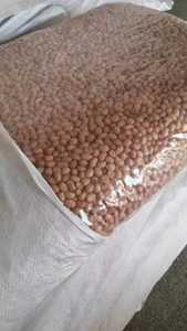 Granos de cacahuete de marca Thomas de alta calidad, cosechadora de cacahuetes sin cáscara, agricultura <span class=keywords><strong>con</strong></span> 7% de humedad - Product Image 6