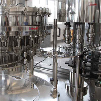 Chaîne de production CE entièrement automatique pour le remplissage et le capsulage de jus de fruits, la pasteurisation à chaud, l'étiquetage et le thermoformage pour bouteilles PET et en verre