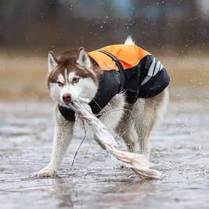 ट्रूलोवे थोक नायलॉन कपड़े पालतू जलरोधी लक्जरी ब्रांड फैशन चिंतनशील कुत्ते जैकेट और कोट - Product Image 5