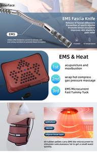 Home Use Popular Tecar Therapy 448k Raddio Frequency Pet Physiotherapy Cellulite Reduction Weight Loss Body Shape Slim Machine - Product Image 5