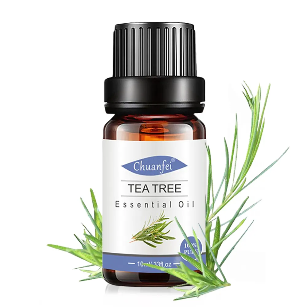 Factory 100% pure Natural Organic Australian Tea Tree Essential Oil OEM private label Bulk Tea tree oil for hair