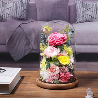 Cloche en verre transparente avec base, vitrine pour artisanat, plantes, lumières, succulentes, médailles, centre de table