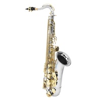 Bb Tenor Saxophone Nickel Plated Body Lacquered Finish Gold Keys B Flat Woodwind Musical Instrument Bakelite Head for