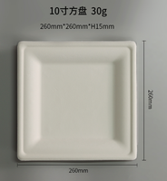 Assiette carrée en bagasse de canne à sucre de 10 pouces, structure robuste, compatible micro-ondes, vaisselle de restauration