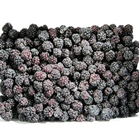 IIQF Diepvries Zwarte Bessen, Gehele Diepvries Zwarte Bessen voor Sap, Jam, Bakkerijproducten, Yoghurt, Desserts en Voedingsmiddelenfabrieken, Bulk Export