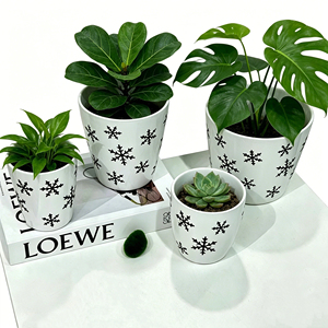 Vente chaude 2026 : Pots de <span class=keywords><strong>fleurs</strong></span> coniques en céramique blancs à motif flocon de neige noir, directement de l'usine, pour la décoration de Noël et l'aménagement intérieur - Product Image 6