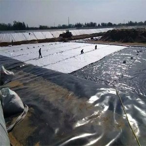 Commercio all'ingrosso della fabbrica 1mm 2mm 3mm HDPE ldpe PVC geomembrana per il sequestro di stagno di pesce lago artificiale per allevamento ittico - Product Image 4