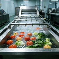 Machine à laver à bulles à grande capacité, conçue pour un fonctionnement continu, idéale pour les lignes d'assemblage des usines de transformation de produits frais.