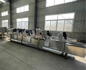 Ligne de production de lavage de prunes/prunier séché/abricot/raisins secs - Product Image 4