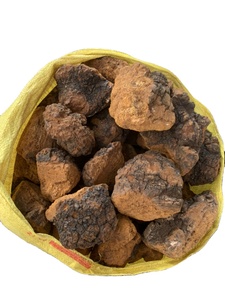 אספקת יצרן של תמצית פטריית צ'אגה, דוגמית חינם, אבקת תמצית פטריית אינונוטוס אובליקוס - Product Image 3