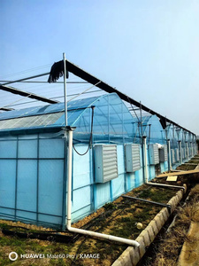 Systeme Refroidissement <span class=keywords><strong>Film</strong></span> Pour Serre Anti Uv Tete Pour Cheveux Allevamento Lumache <span class=keywords><strong>Noir</strong></span> Plastique Vetro-Per-Serre - Product Image 3