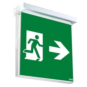 Segnale di Uscita di Emergenza Beghelli 31x23 Cm IP65 con Luce LED e Freccia a Destra - Product Image 1