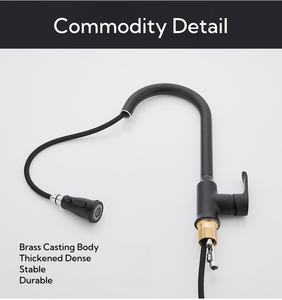 ร้อนขายเดี่ยวดึงลงเครื่องพ่นสารเคมีก๊อกน้ําอ่างล้างจานสีดําก๊อกน้ําที่มีลึงออกคุณลักษณะด้านข้างสเปรย์ประเภท - Product Image 4